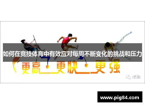 如何在竞技体育中有效应对每周不断变化的挑战和压力