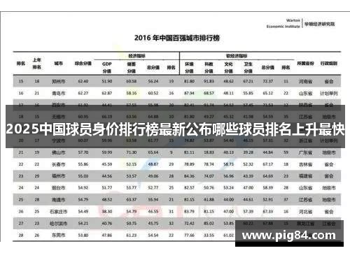 2025中国球员身价排行榜最新公布哪些球员排名上升最快