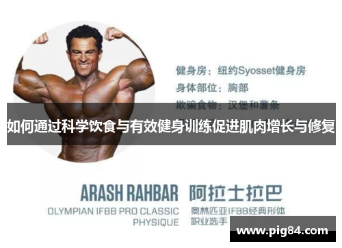 如何通过科学饮食与有效健身训练促进肌肉增长与修复