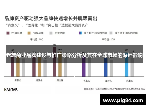 老詹商业品牌建设与推广策略分析及其在全球市场的深远影响