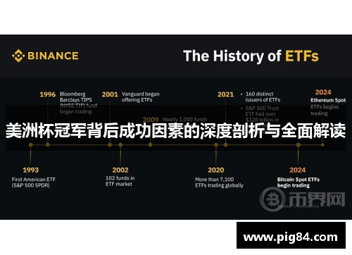 美洲杯冠军背后成功因素的深度剖析与全面解读
