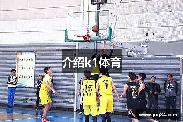 介绍k1体育